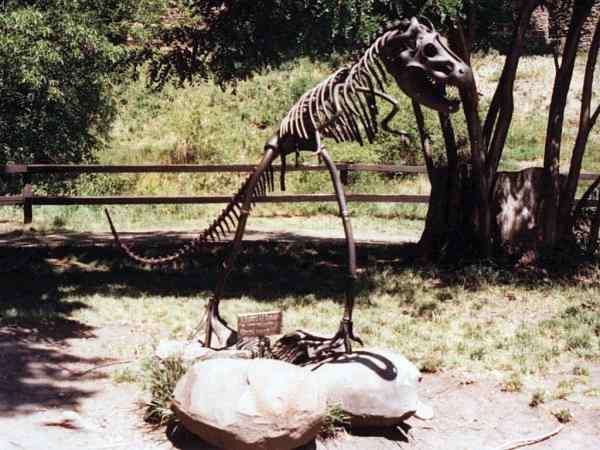 Hefaiston - Tyranosaurus rex